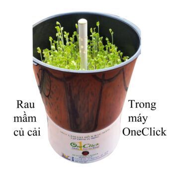 No. 1 - Máy Làm Giá Đỗ Tự Động OneClick Lv1.2 - 6