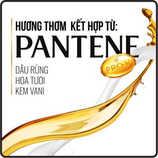 No. 6 - Dầu Gội Làm Phồng Tóc Pantene Sheer - 3