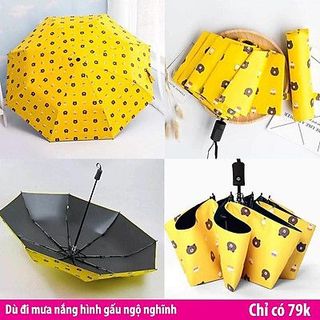 Top 8 Ô Che Mưa Đẹp, Tiện Lợi Và Chất Lượng- 3