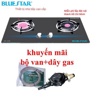 No. 2 - Bếp Gas Âm Hồng Ngoại Bluestar NG-6750C - 4
