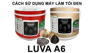 No. 6 - Máy Làm Tỏi Đen LuvaA6 - 5