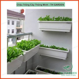 Top 7 chậu trồng cây đẹp và tiện lợi nhất năm 2023- 2