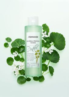 No. 2 - Mamonde Centella Trouble Toner - 2