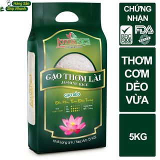 Top 8 loại gạo ngon nhất hiện nay bạn nên biết- 1