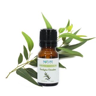 No. 2 - Tinh Dầu Bạch Đàn Chanh Hữu Cơ Organic Lemon Eucalyptus Essential Oil - 3
