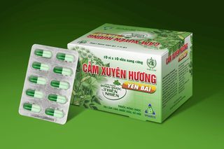 No. 3 - Thuốc Cảm Cảm Xuyên Hương Yên Bái - 2