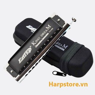 Top 8 kèn harmonica tốt nhất năm 2023- 1