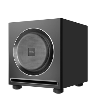 No. 1 - Loa Subwoofer Paramax SUB-1000 - 3