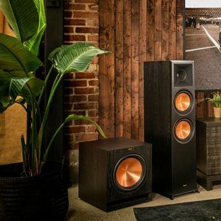 No. 6 - Loa Subwoofer Klipsch SPL-100 - 5