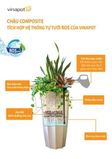 Top 8 Chậu Hoa Đẹp Nhất Năm 2023- 2