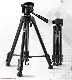 Top 8 tripod tốt nhất năm 2023: Đánh giá chi tiết từng sản phẩm- 4