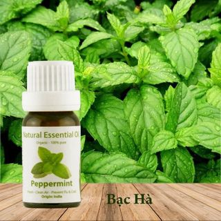 No. 3 - Tinh Dầu Bạc Hà Hữu Cơ Organic Peppermint Essential Oil - 6