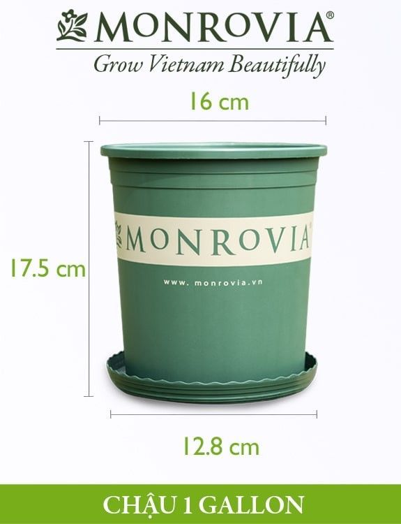 No. 3 - Chậu Nhựa Trồng Cây MonroviaMon1Gallon - 1