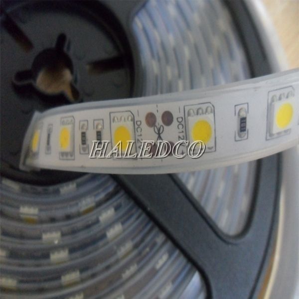 No. 1 - Dây Đèn LED Ngoài Trời HALEDCO HLSTUD-5050 - 6