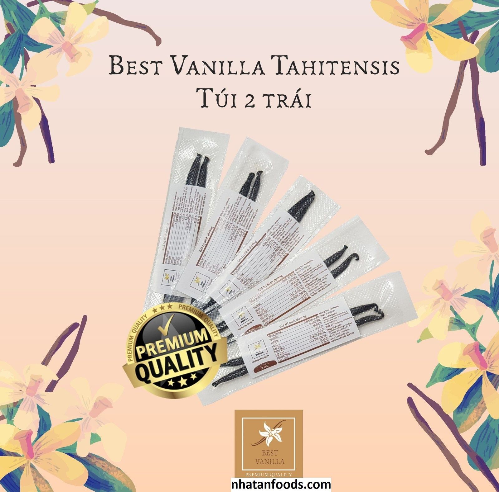Top 8 Loại Vanilla Tốt Nhất Cho Bạn Lựa Chọn