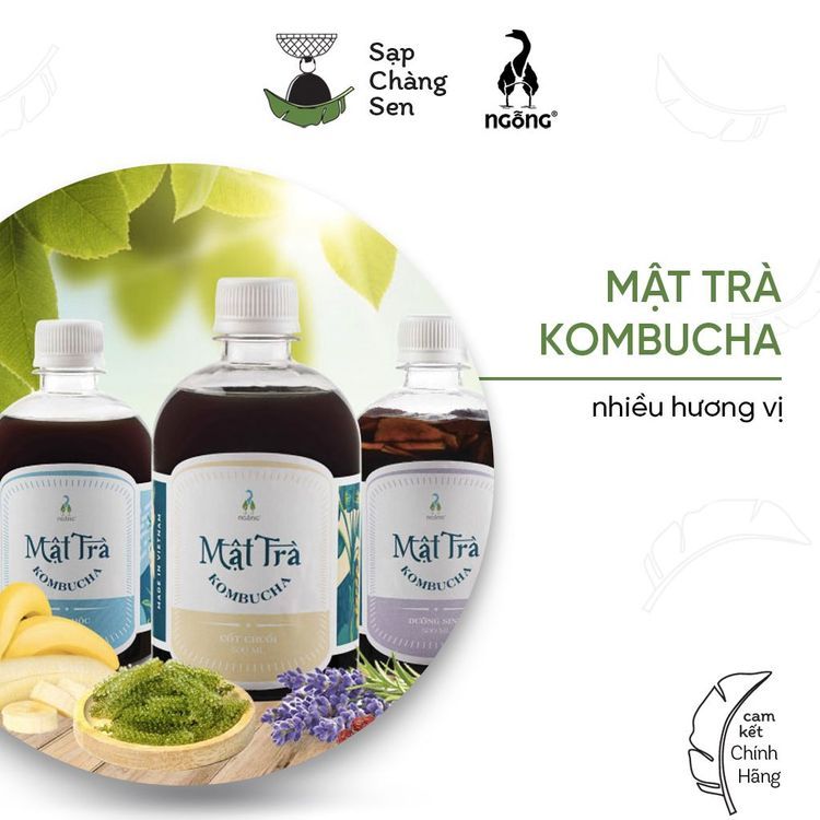 No. 4 - Mật Trà Kombucha - 4