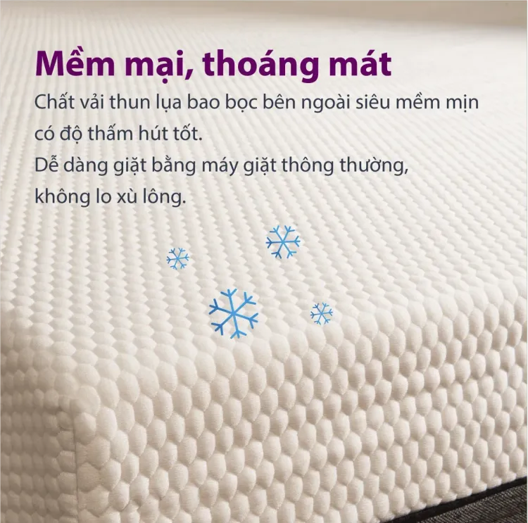 No. 1 - Nệm Cao su Memory Foam Cao Cấp Hàn Quốc Samick Cosy - 3