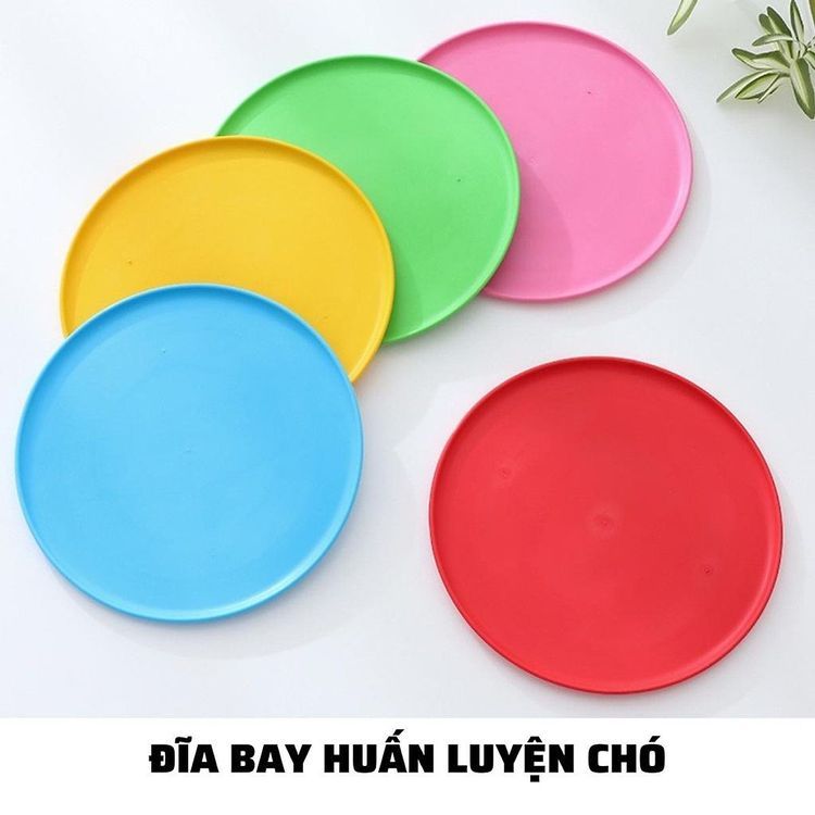 No. 1 - Đĩa Bay Huấn Luyện - 2