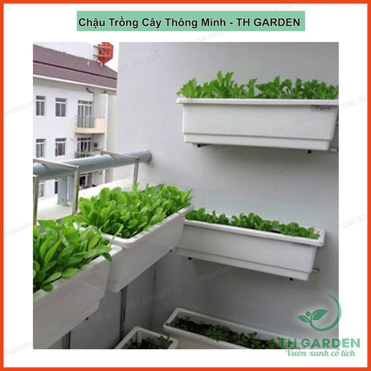 No. 2 - Chậu Trồng Cây TH Garden - 1