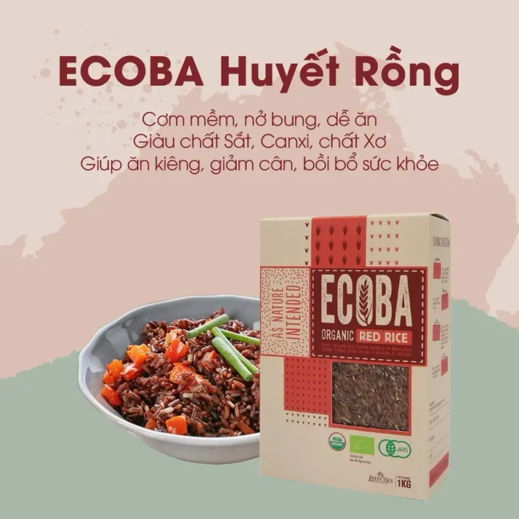 No. 3 - Gạo Lứt Đỏ Hữu Cơ ECOBA - 3