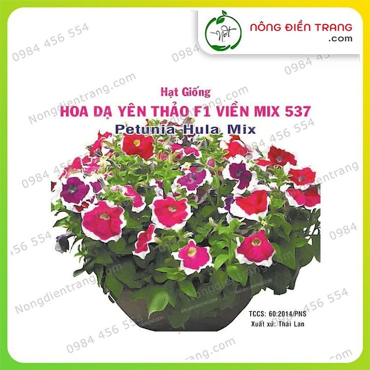 No. 2 - Hạt Giống Hoa Dạ Yên Thảo Viền Mix Phú Nông - 2