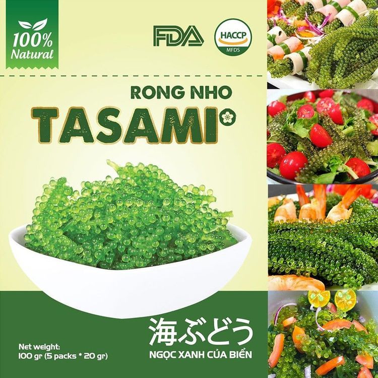 No. 4 - Rong Nho Tách Nước Tasami - 5