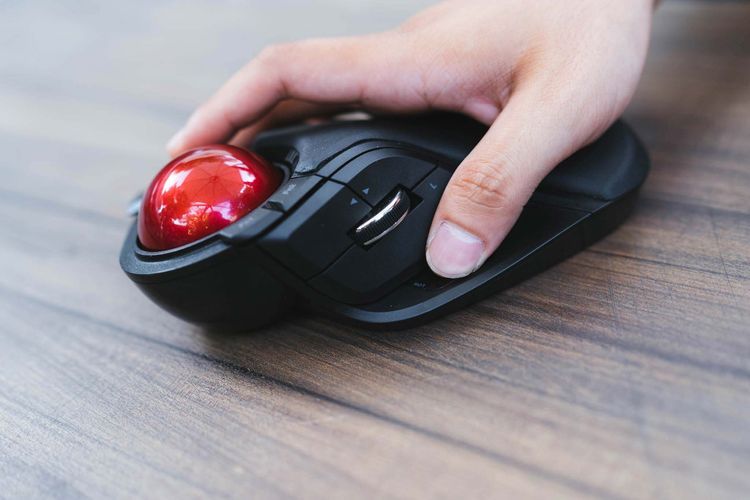 No. 6 - Chuột Bi Lăn Trackball Elecom M-HT1URBK - 3