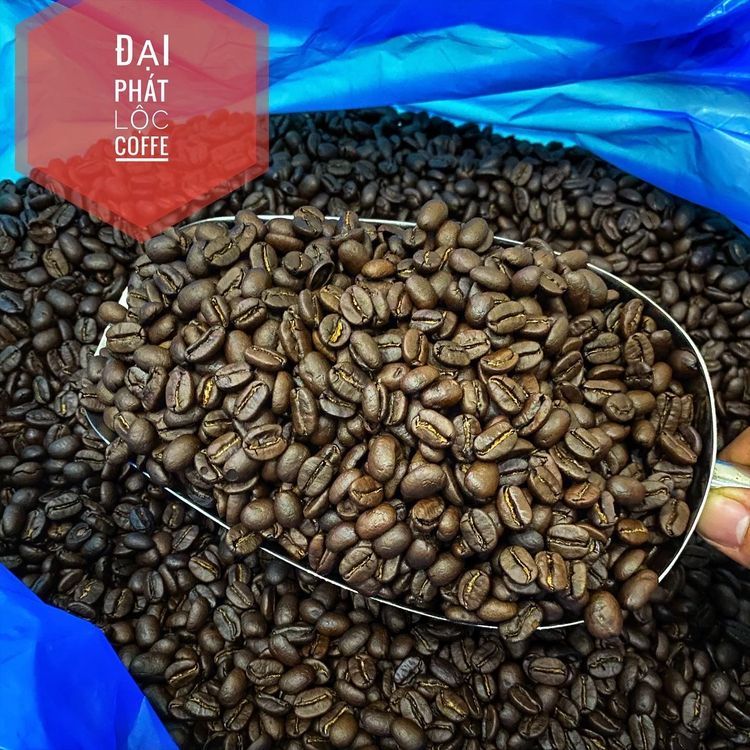 No. 2 - Cà Phê Hạt Rang Arabica Cầu Đất - 5