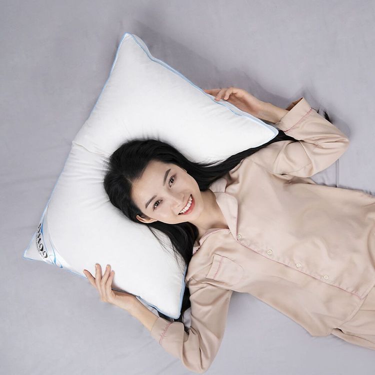 No. 5 - Gối Lông Vũ Sandwich Doona - 2