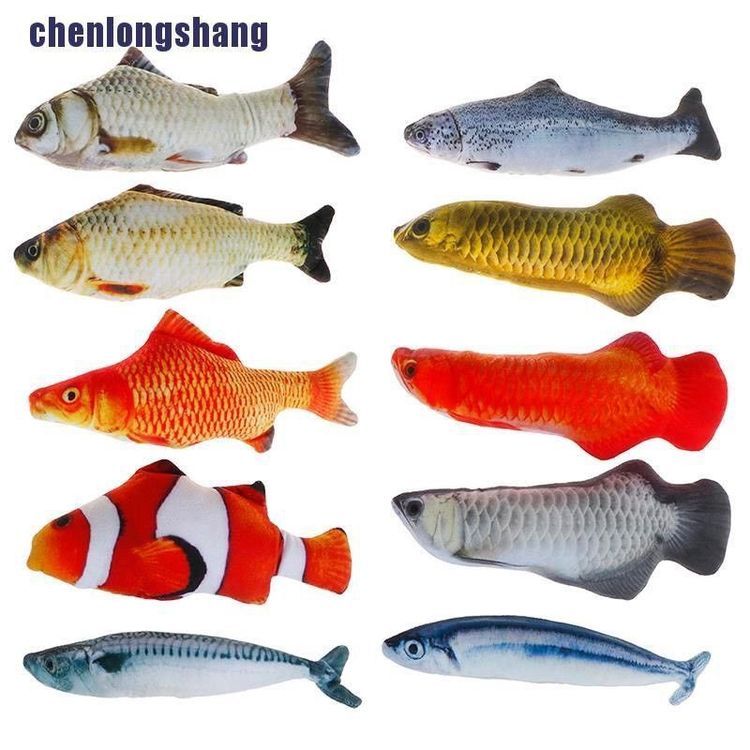 No. 6 - Cá Nhồi Bông - 2