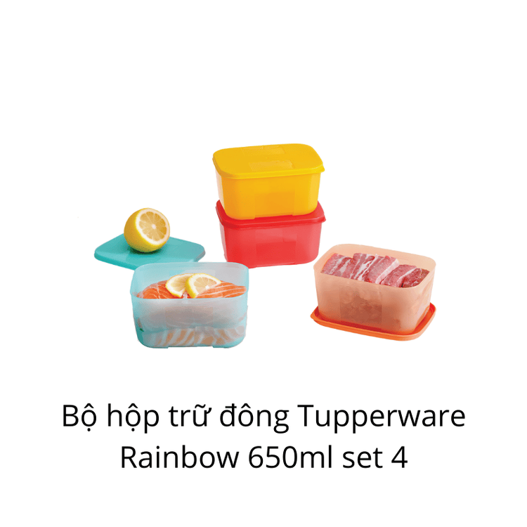 No. 3 - Hộp Đựng Thực Phẩm Freezermate Rainbow - 5