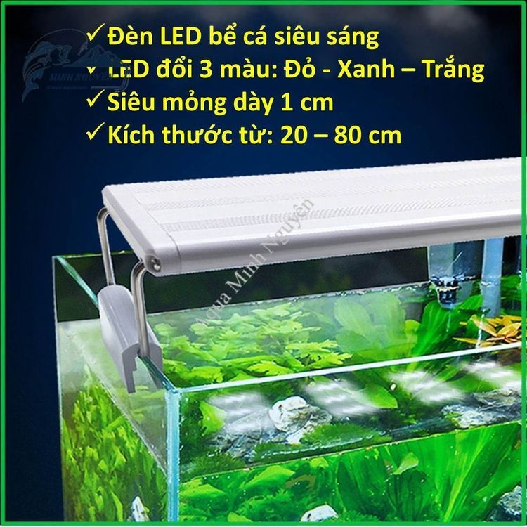 No. 8 - Đèn Bể Cá XinmaX-LED7W - 6