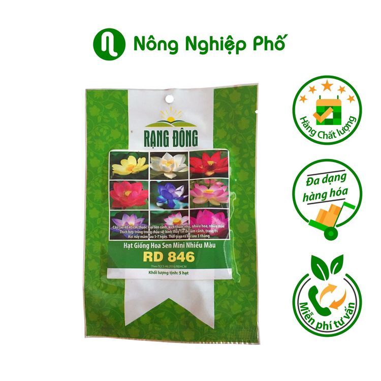 No. 7 - Hạt Giống Hoa Sen Mini Nhiều Màu Rạng ĐôngRD 846 - 1