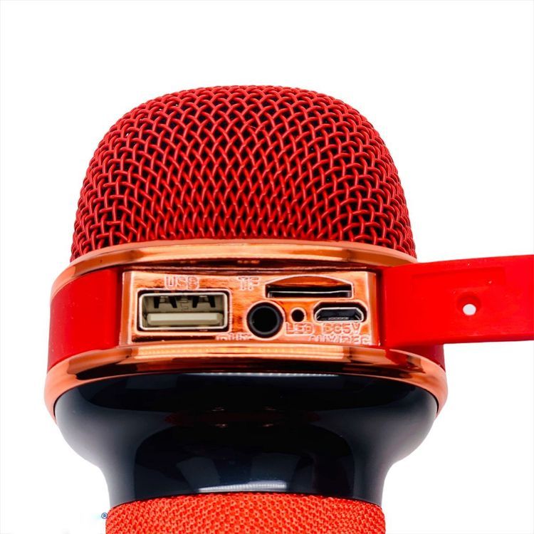 No. 1 - WSTER KTV WS-898 - 3