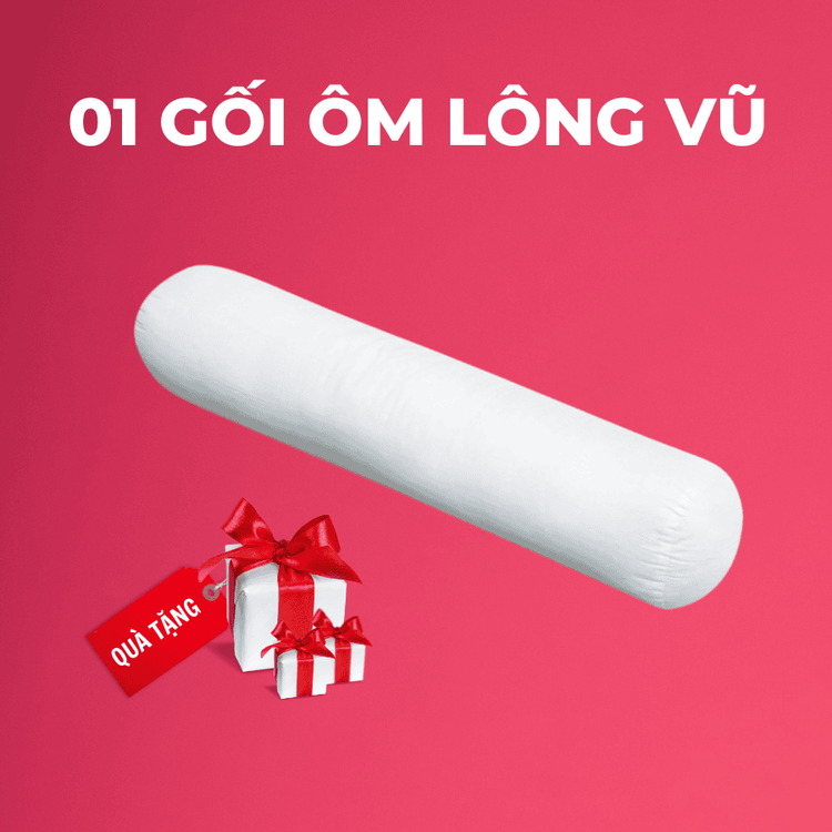 No. 9 - Gối Ôm Lông Vũ Thuần Việt - 3