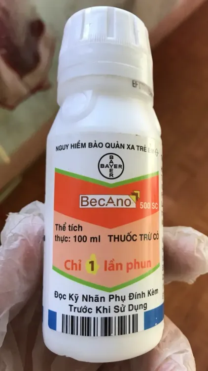 No. 3 - Thuốc Diệt Cỏ Becano 500SC - 5