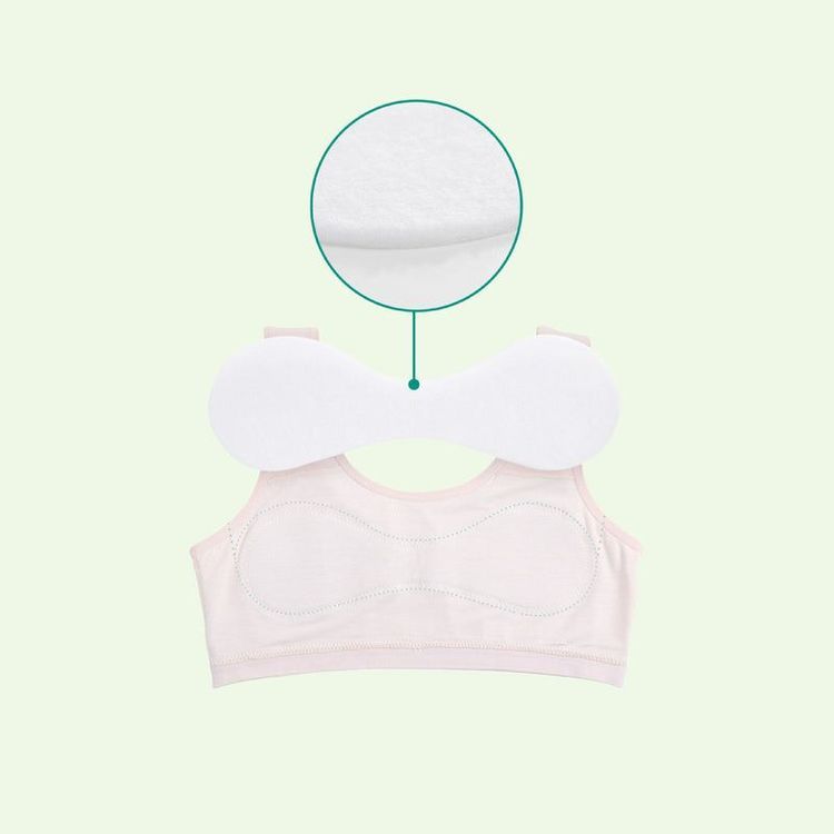 No. 1 - Áo Lá Học Sinh Cao Cấp Little Bear - 2