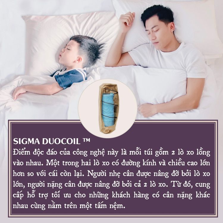 No. 1 - Nệm Lò Xo Túi Sigma Duocoil - 4