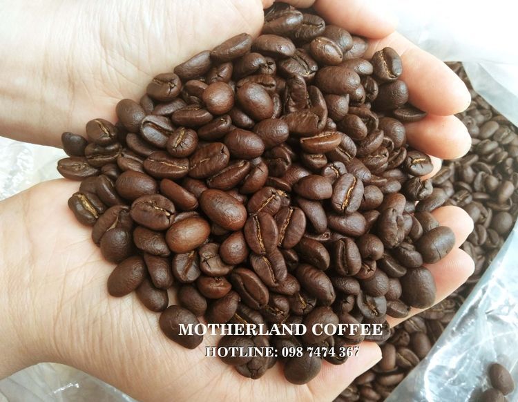 No. 2 - Cà Phê Hạt Rang Arabica Cầu Đất - 4