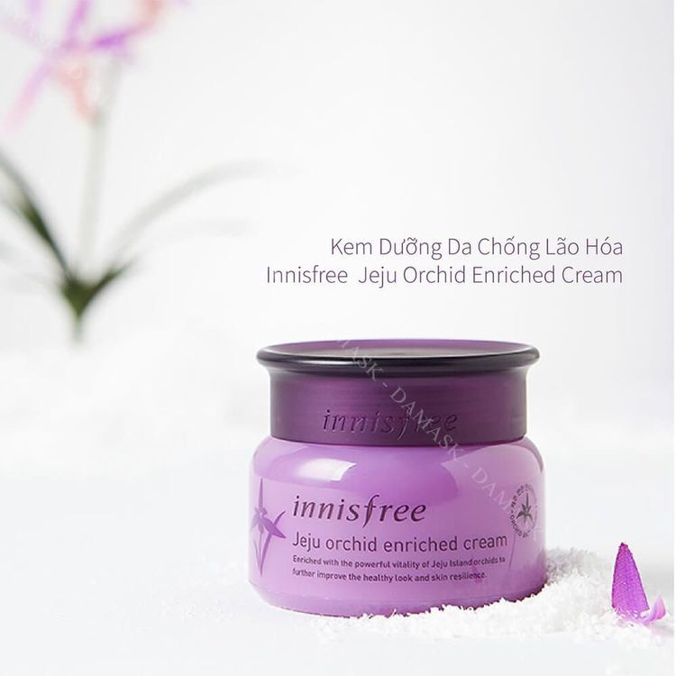 No. 5 - Kem Dưỡng innisfree Jeju Orchid Enriched Cream - 2