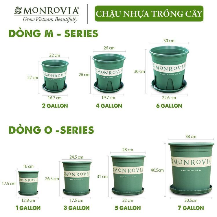 No. 3 - Chậu Nhựa Trồng Cây MonroviaMon1Gallon - 5