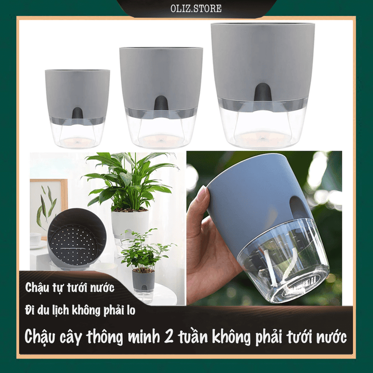 No. 1 - Chậu Trồng Cây Mini Oliz A7 - 2