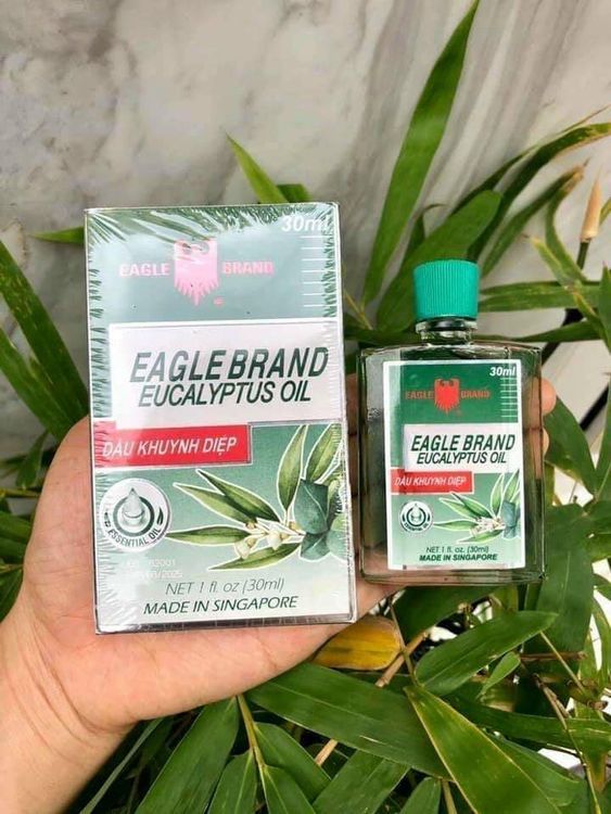 No. 4 - Dầu Gió Khuynh Diệp Hiệu Con Ó Eagle Brand - 2