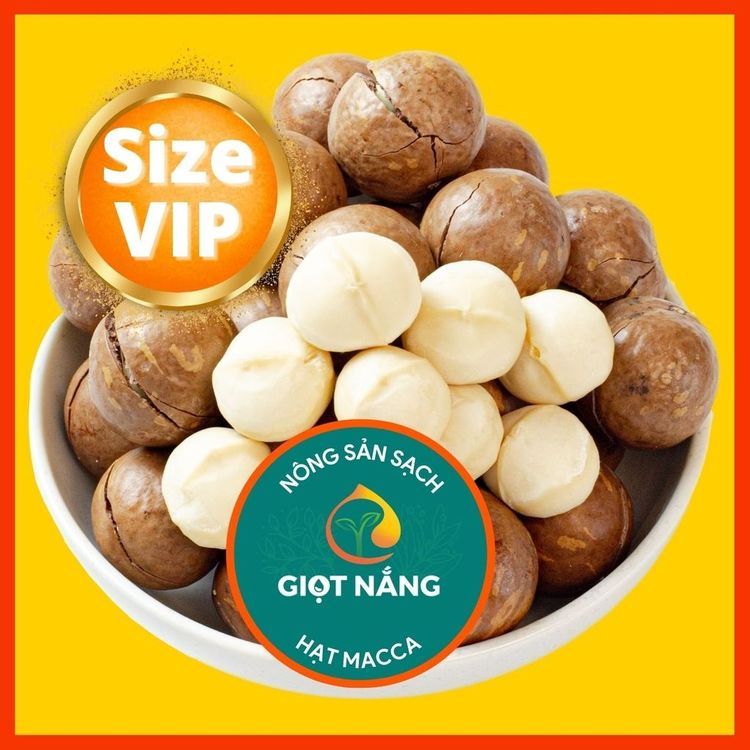 No. 10 - Hạt Macca Daklak Sấy Lạnh - 2