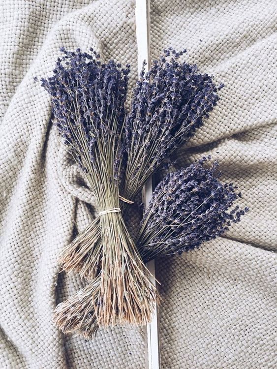 No. 4 - Hoa Lavender Khô - 4