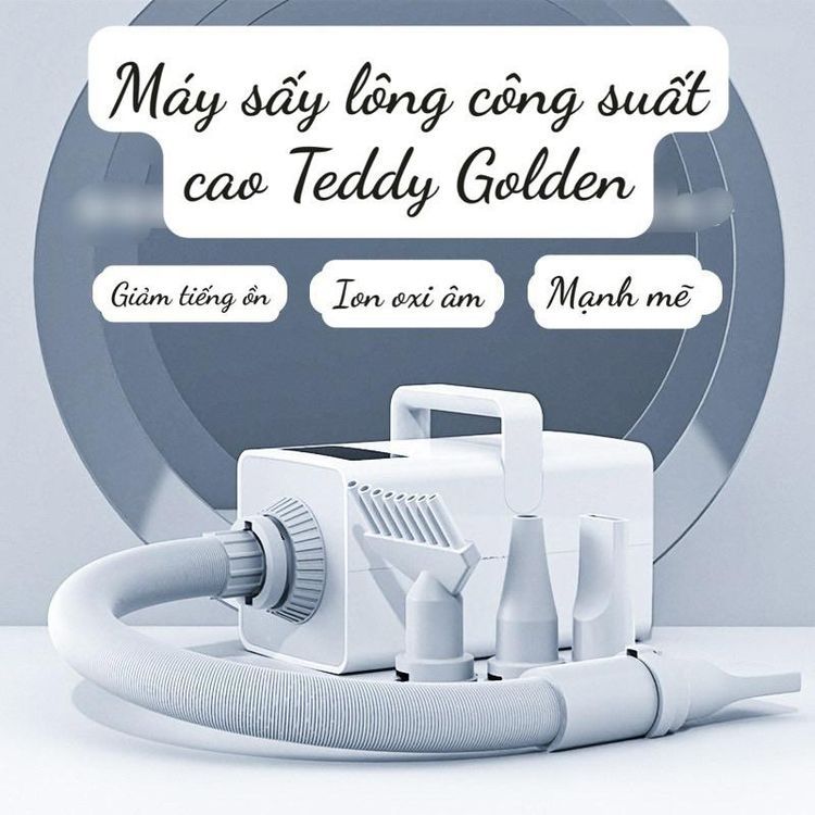 No. 3 - Máy Sấy Lông Chó Teddy Golden - 2