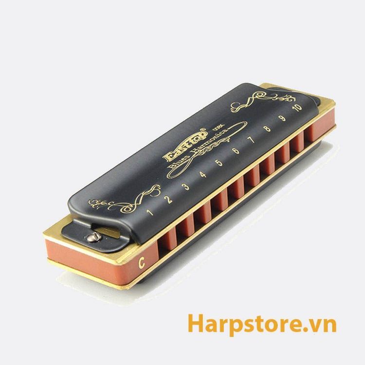 No. 3 - Kèn Harmonica Diatonic Easttop T008K - 2