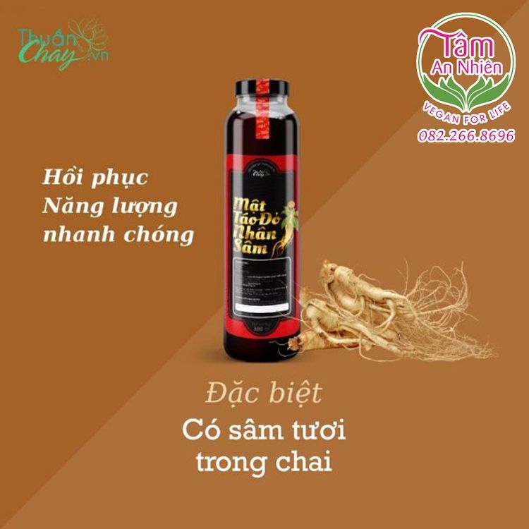 No. 10 - Mật nhân sâm táo đỏ Thuần Chay - 5