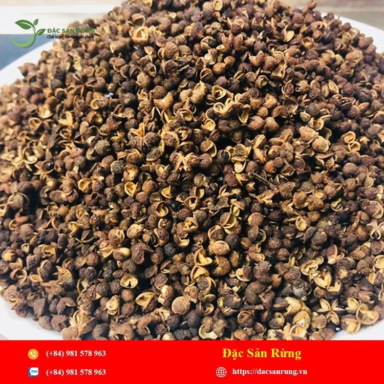 No. 1 - Hạt Dổi - Hạt Mắc Khén - 1