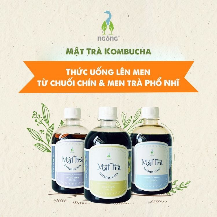 No. 4 - Mật Trà Kombucha - 1